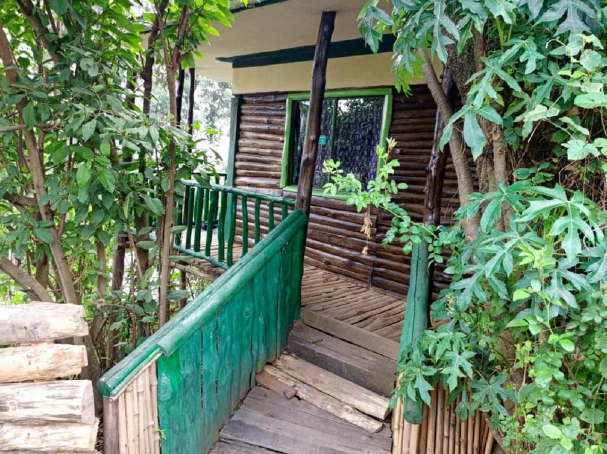 Bed and Breakfast Ruhija Community Rest Camp Kabale Экстерьер фото