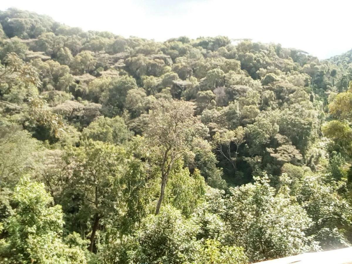 Bed and Breakfast Ruhija Community Rest Camp Kabale Экстерьер фото